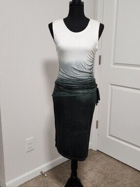 Elegant Ombre Bodycon Dress